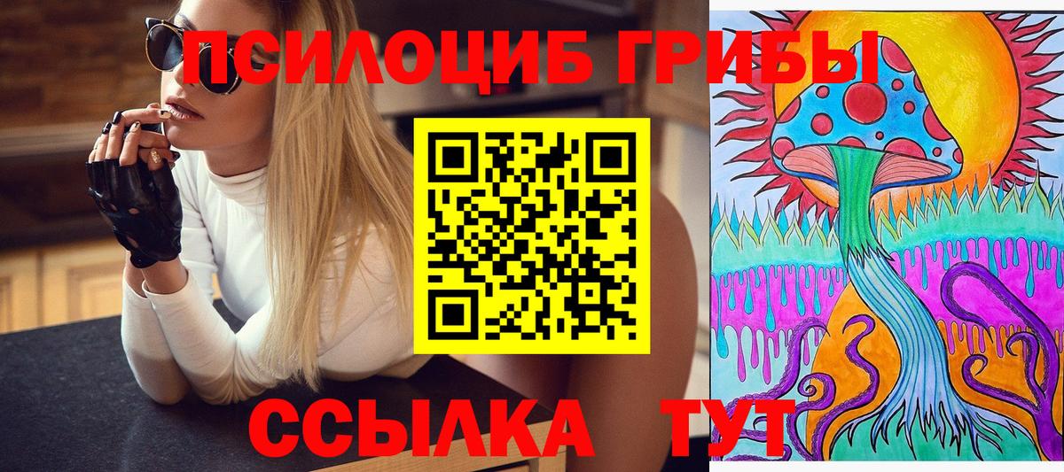 Галлюциногенные грибы Psilocybe  Вход с VPN  Рязань 